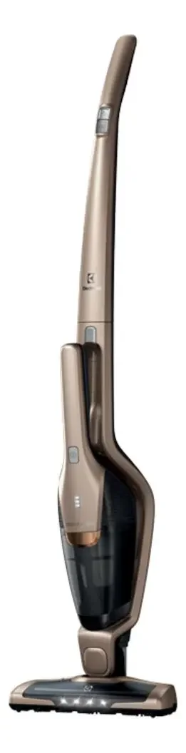 Electrolux Ergorapido ERG26 dourado